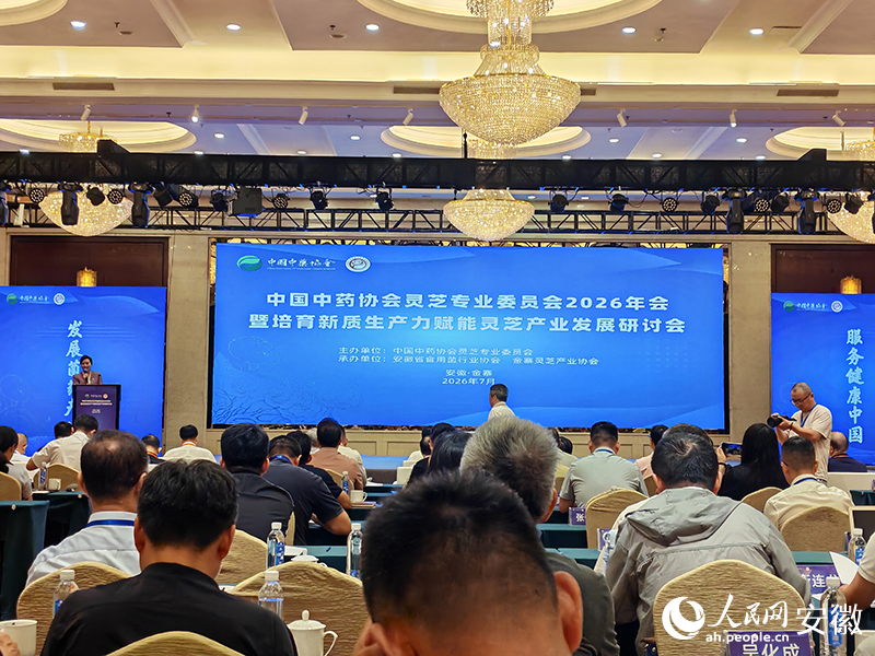 大会现场。人民网 丁纪摄