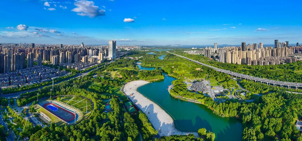 活力迸发的滨湖新区