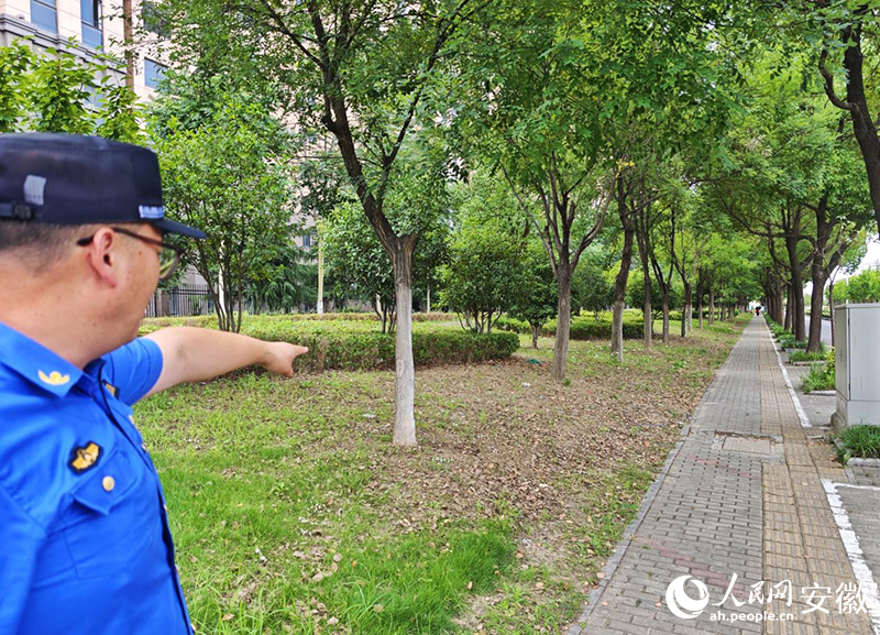 新威龙门悦府退红区域,经过整治后没有乱停放的车辆。人民网记者 周坤摄
