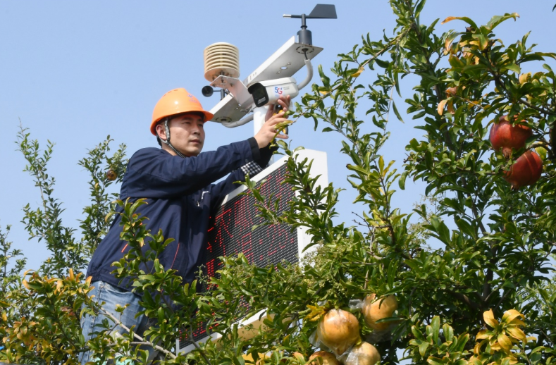 安徽电信点亮乡村振兴新征程