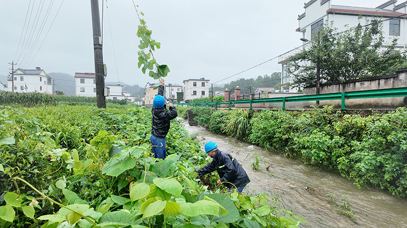 7月12日，国网黄山供电公司组织人员对休宁县东临溪镇沿河地区的杆塔进行异物清除和拉线紧固。方建忠摄
