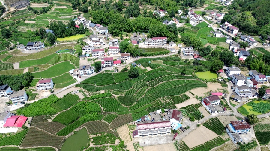 安庆岳西店前镇河西村：茶乡焕新貌 美景入画来【2】