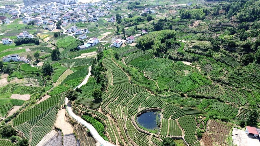安庆岳西店前镇河西村：茶乡焕新貌 美景入画来【4】