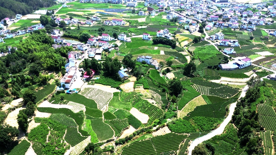 安庆岳西店前镇河西村：茶乡焕新貌 美景入画来【5】