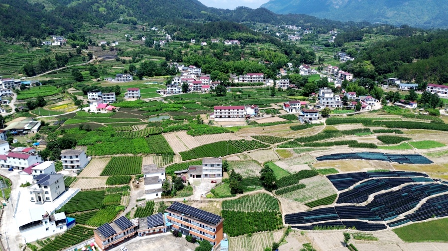 安庆岳西店前镇河西村：茶乡焕新貌 美景入画来【6】