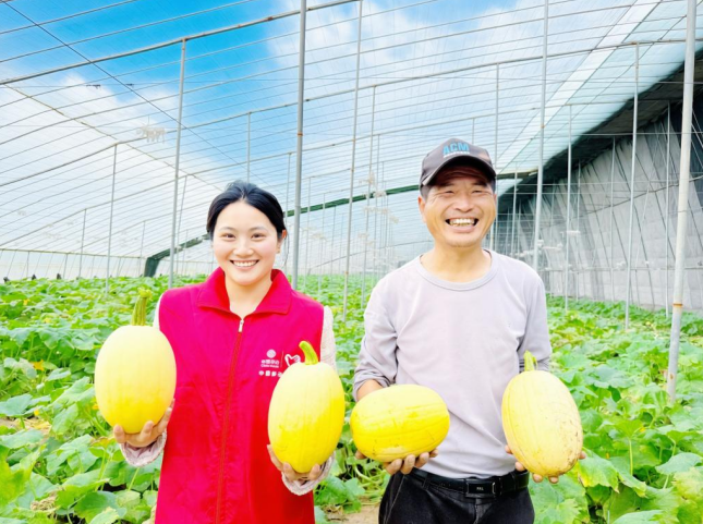 工作人员与瓜农共享丰收的喜悦