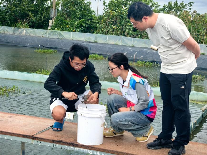 实践团成员在塘口采样。袁薇摄