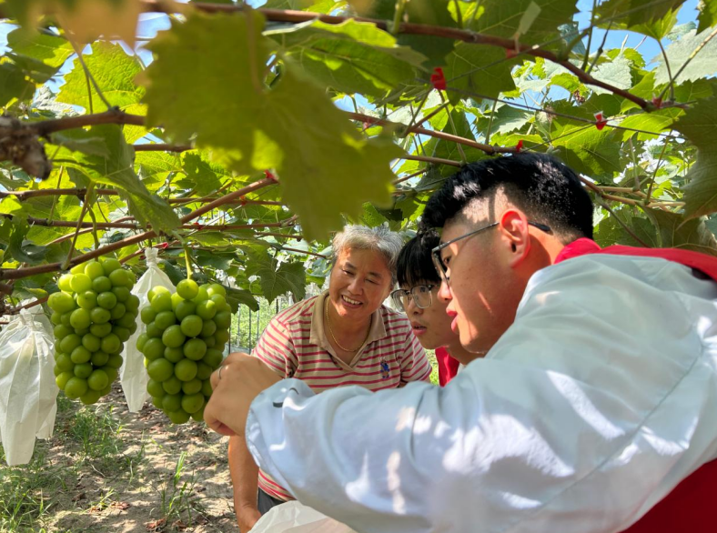暑期社会实践团走进九联村