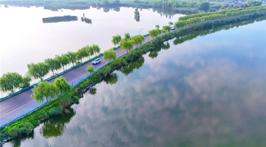 水网纵横、柳堤绵延。