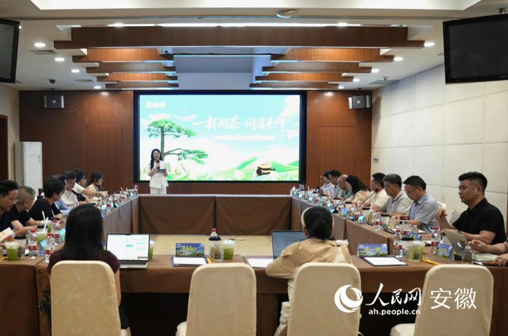 研讨会现场。人民网记者 王锐摄