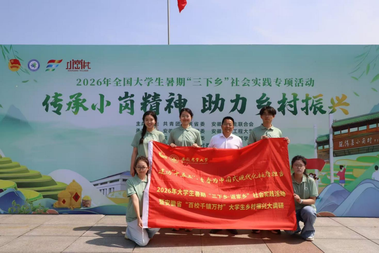 团队成员在小岗村学习调研。