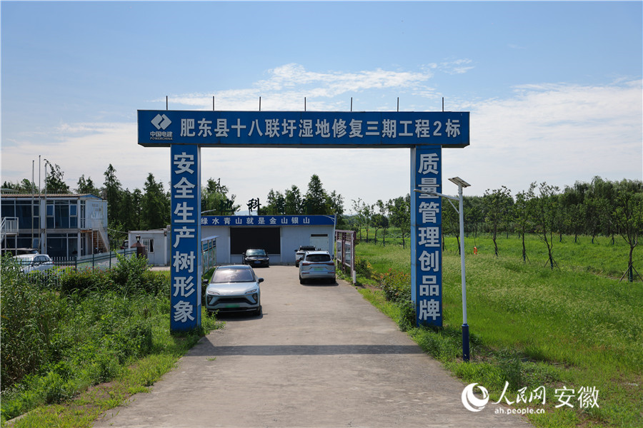 湿地修复三期工程2标。人民网记者 王晓飞摄