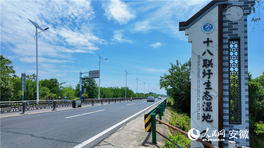 十八联圩生态湿地入口。人民网记者 王晓飞摄