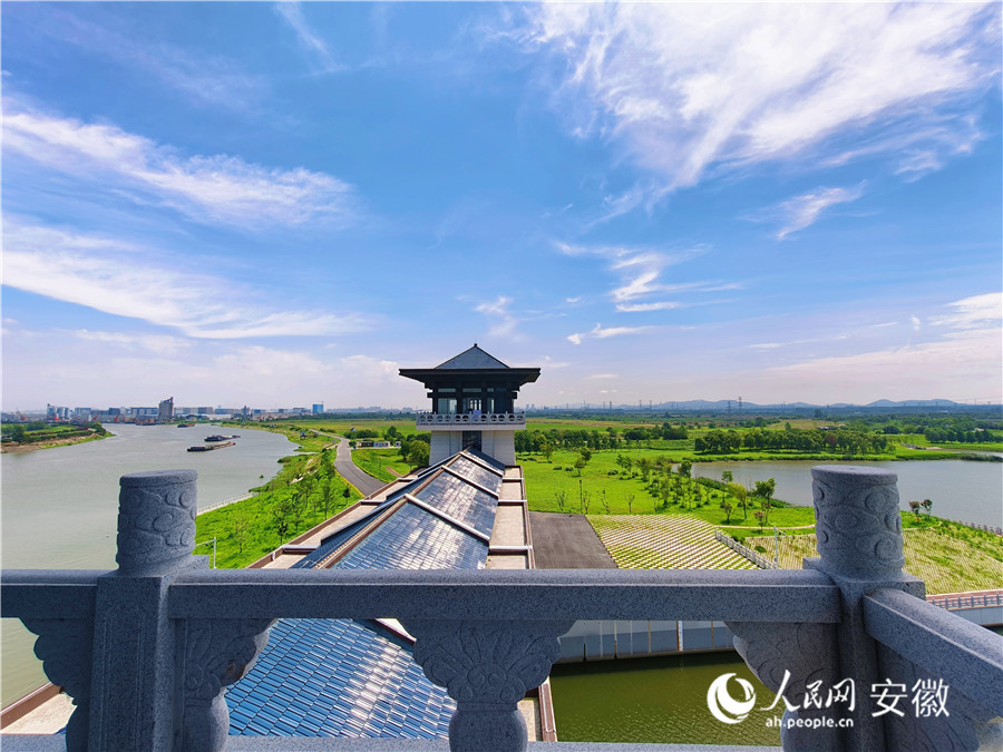 站在十八联圩进退洪闸俯瞰，左侧河道为南淝河，右侧为十八联圩湿地。人民网记者 王晓飞摄