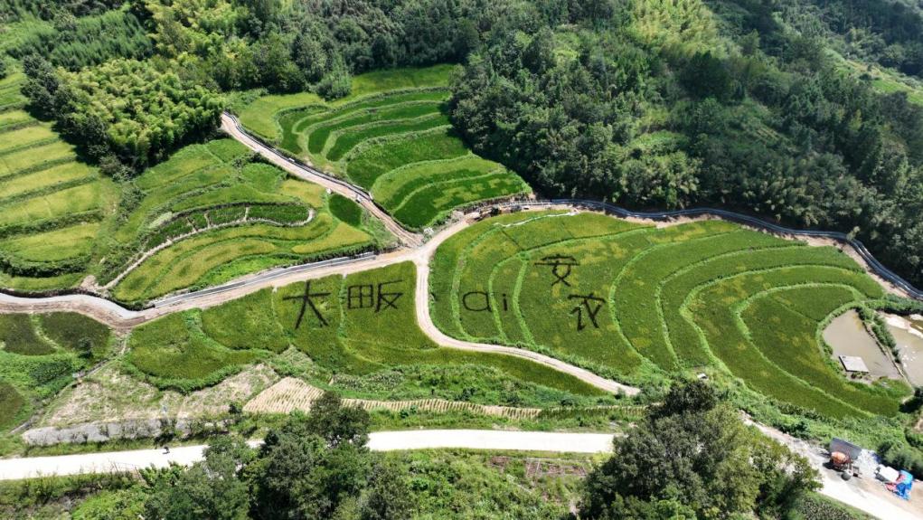 金寨县双河镇大畈村。“e路宏图”实践团供图