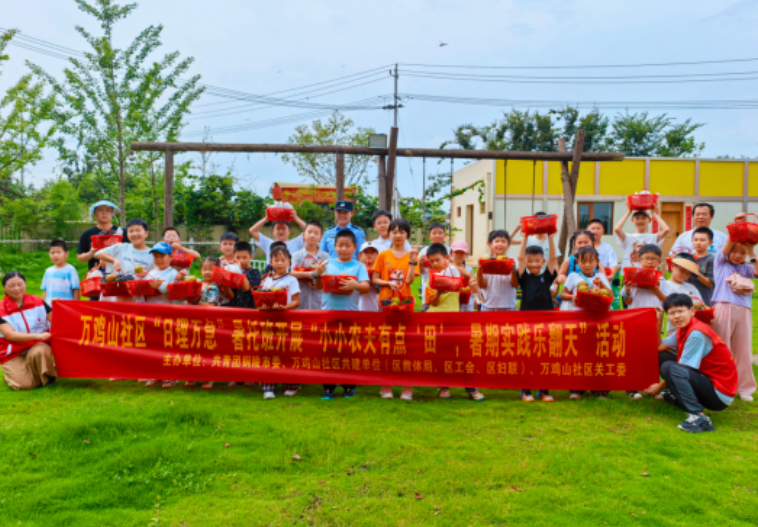  暑期实践活动