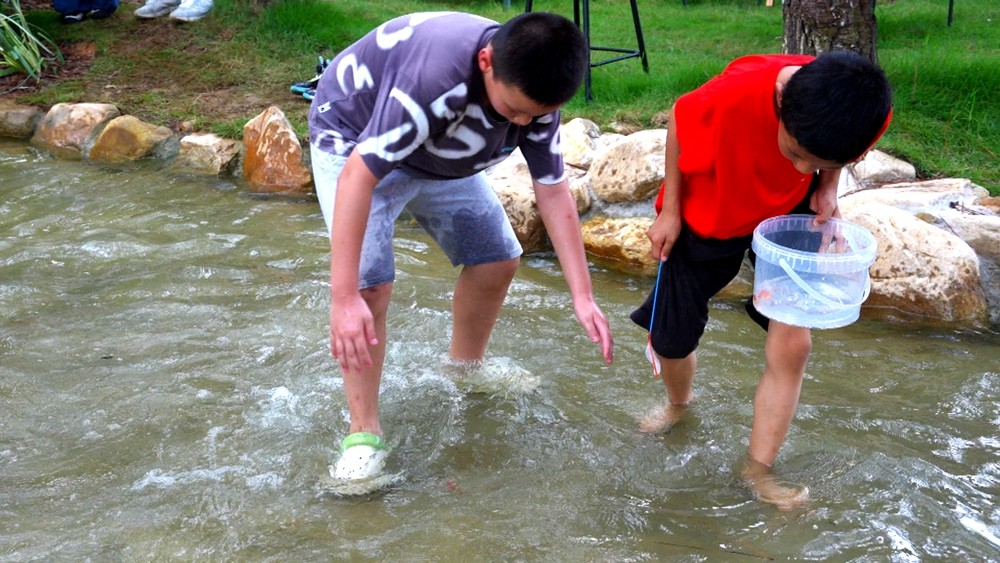 苗山湖生态园林下野溪里的亲水摸鱼项目。