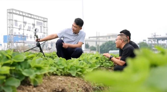 6月26日，颍東區新華街道新華社區“和美社區直播間”到果蔬種植基地開展農技專場直播，以雲端宣講拓寬網絡思政陣地。