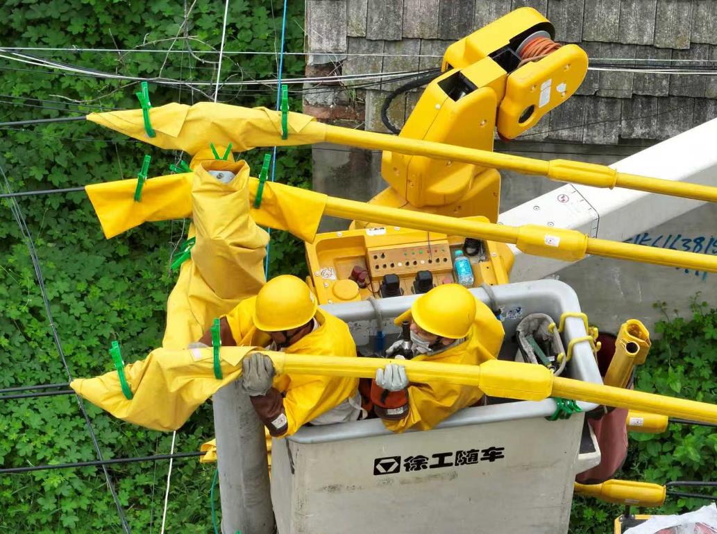 安徽涡阳：带电作业除隐患