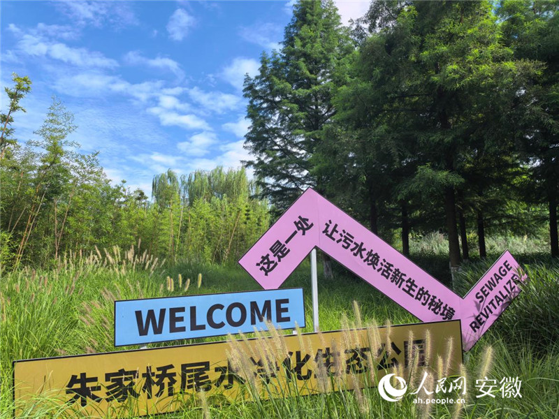 朱家橋尾水淨化生態公園一角。人民網記者 韓震震攝