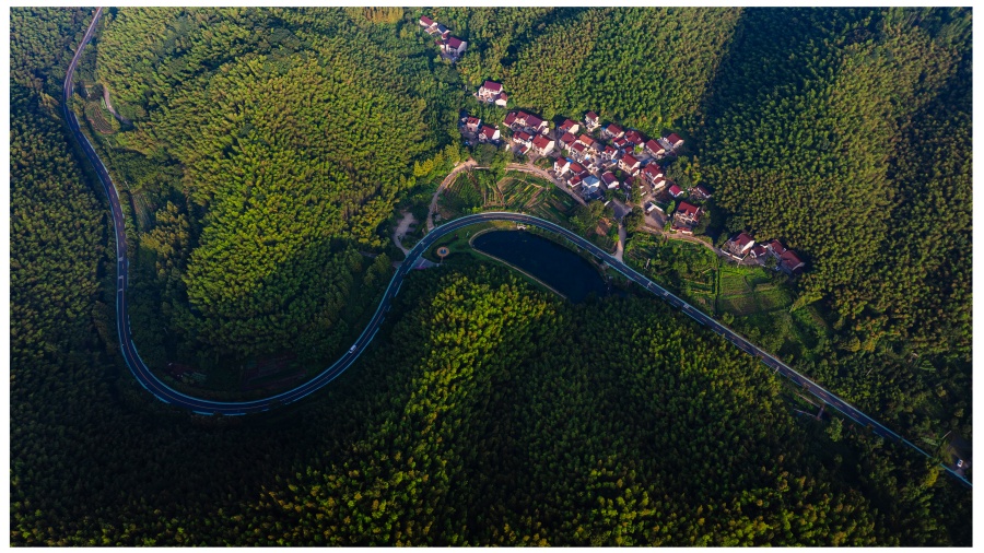光影定格竹鄉盛景，廊道鋪就振興畫卷。