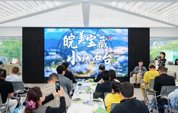 “皖美宝藏 小城石台”推介