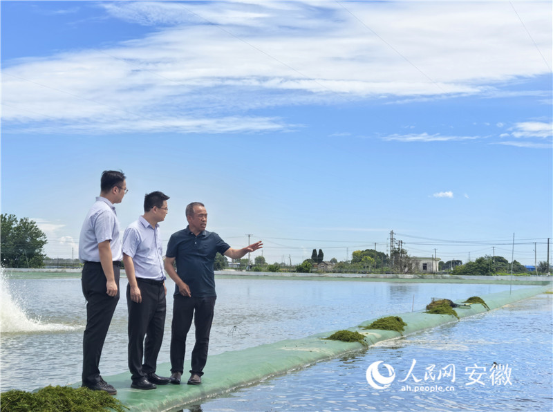 农行工作人员把金融服务送到田间塘口。人民网记者 汪瑞华摄