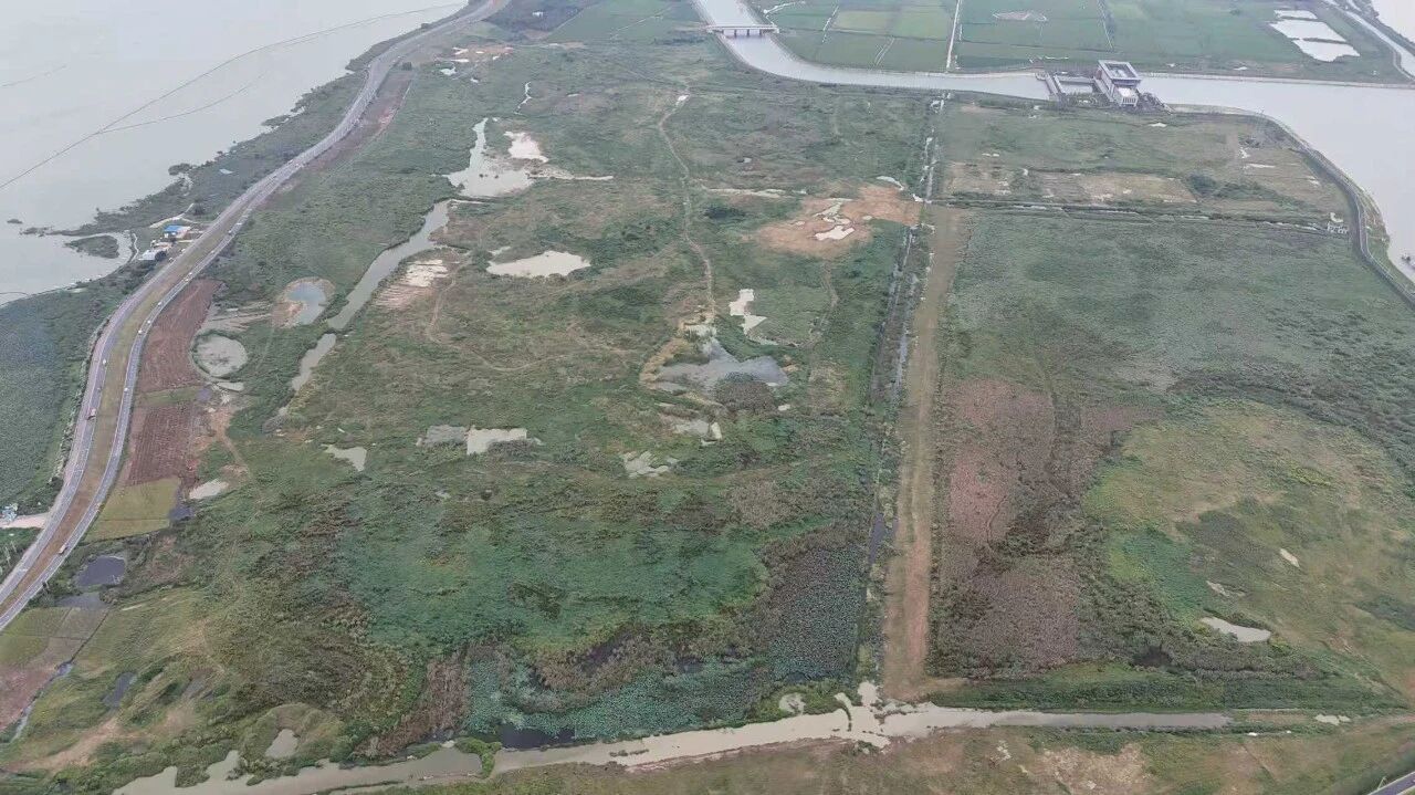 派河口泵站枢纽段临时用地复垦前，坑洼不平，处处泥泞。