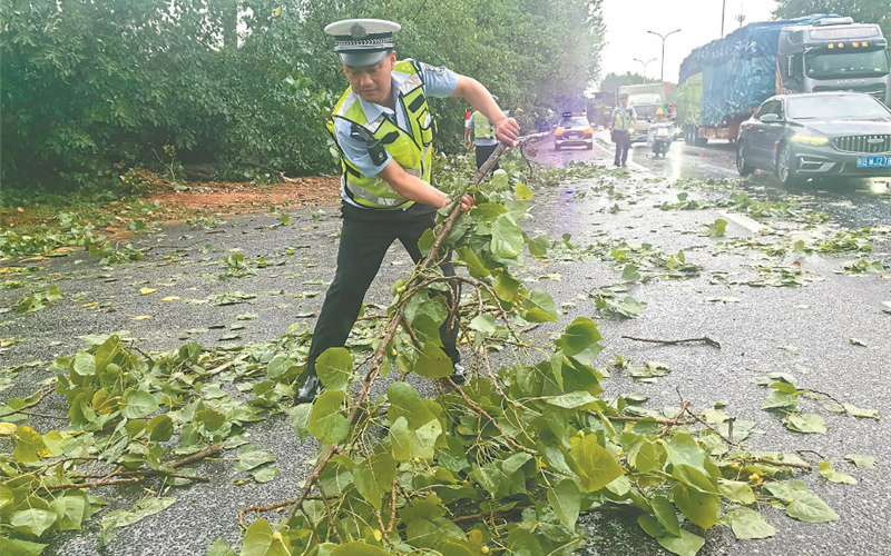蕪湖交警清理倒伏樹木保暢通