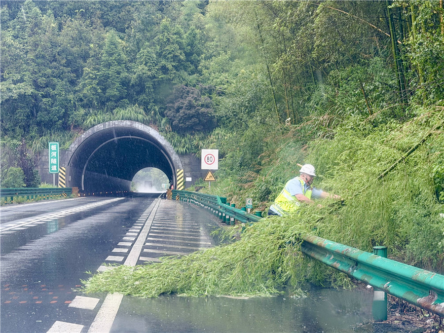 六安中心六岳分中心路產巡查人員在下行743+400清理倒伏竹木。