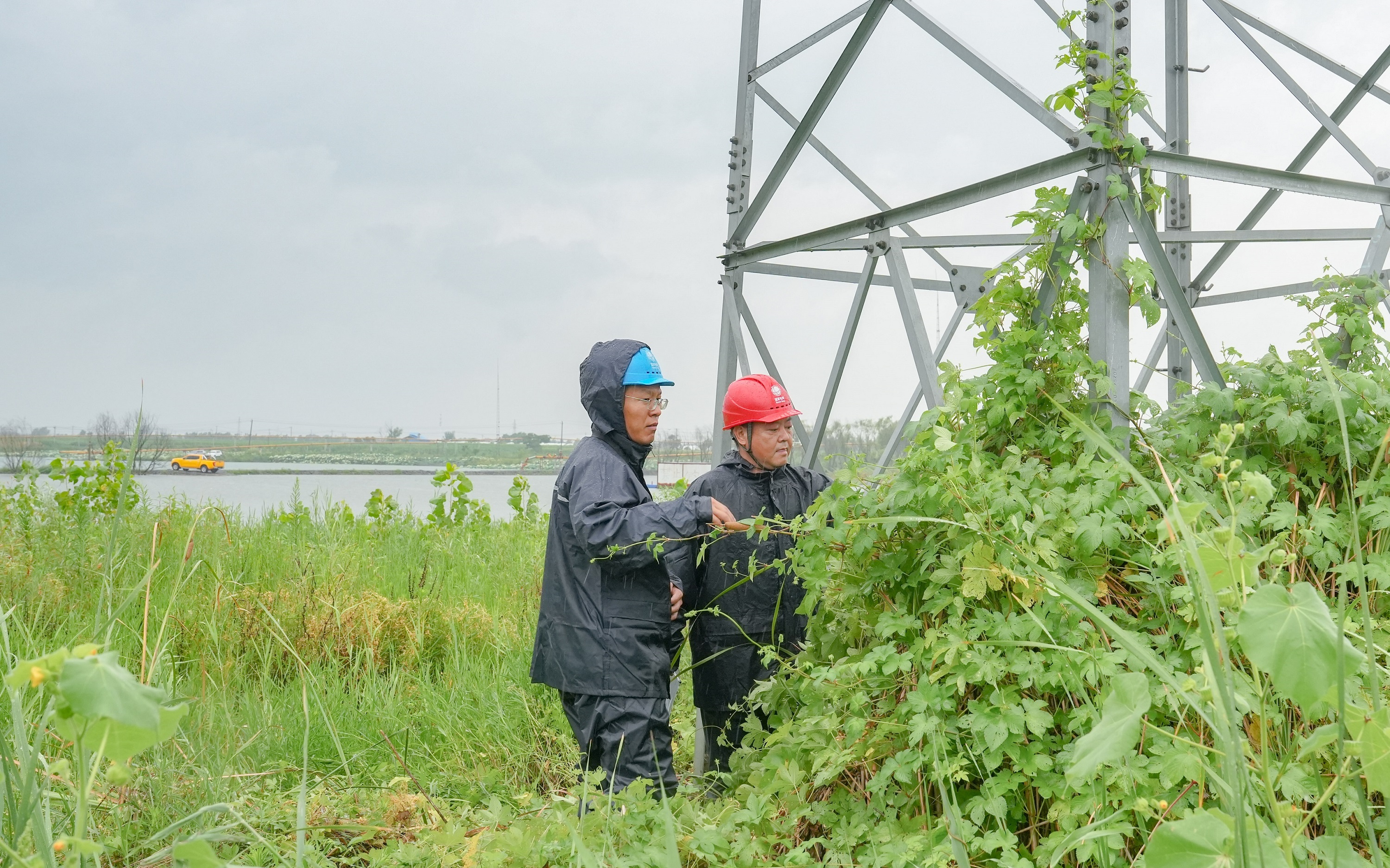 濉溪縣供電公司運維人員在檢查輸電線路鐵塔基礎、清理周邊藤蔓。儲運濤攝