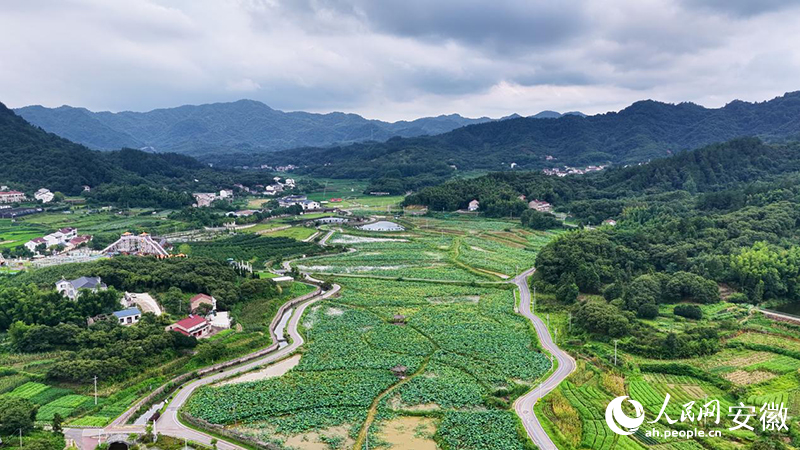 俯瞰文沖村。人民網 郭昊攝