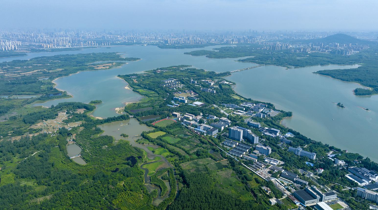 合肥庐阳区：加快建成一个千亿产业集群(图2)
