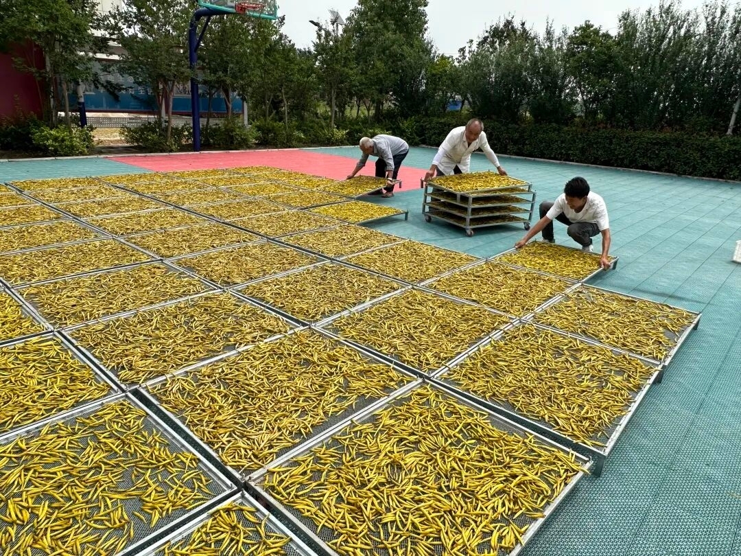 淮海實業集團交出鄉村幫扶“硬核答卷”。
