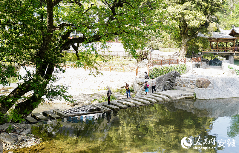 游客在大山村游玩拍照。人民网记者 王锐摄