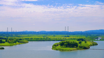 行进中国｜水清，岸绿，人归“巢”盛夏时节，在安徽省合肥市肥东县十八联圩生态湿地蓄洪区，连片的荷花擎出湖面，水鸟掠过碧水，激起层层涟漪。