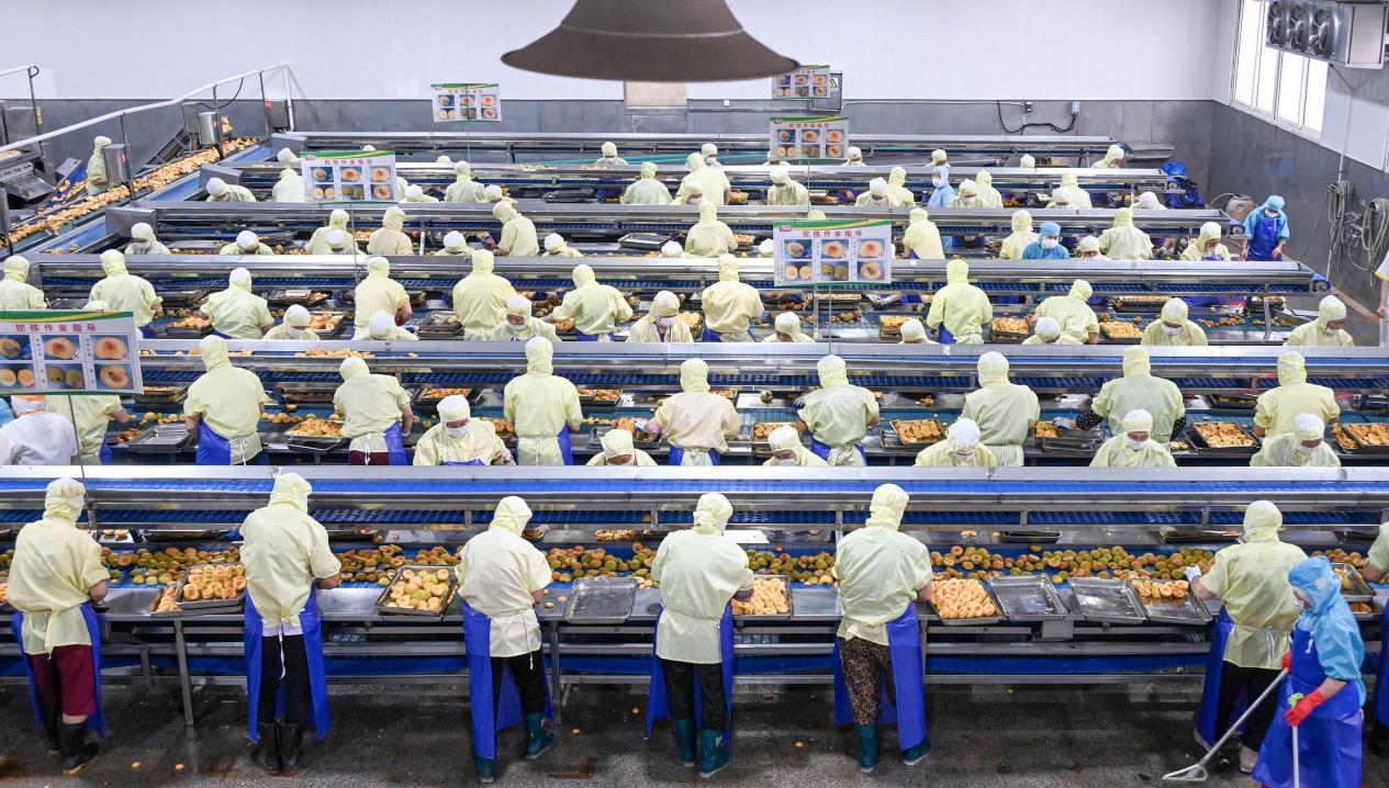 宿州科技食品有限公司有序生產。崔猛攝