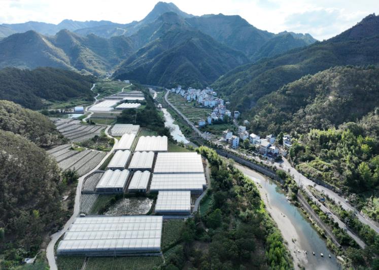 岛石镇共富种植基地。傅忠翛摄