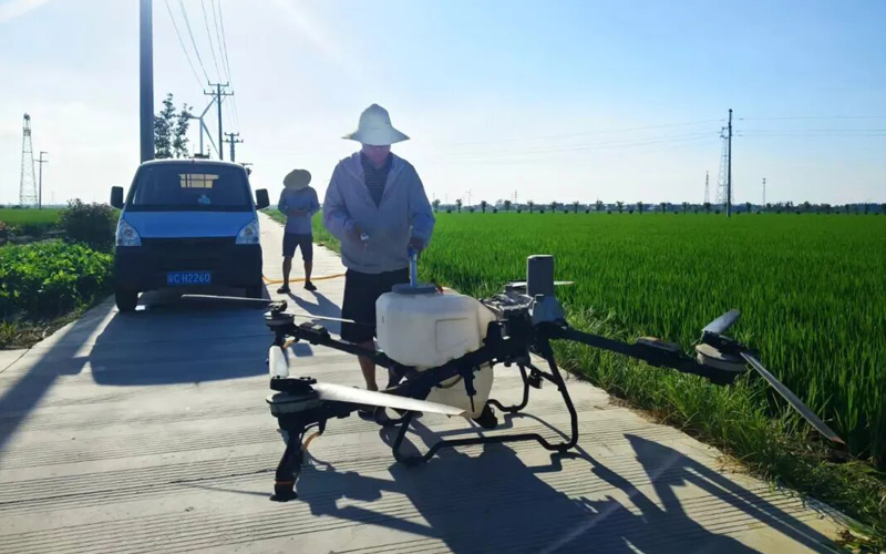 怀远：水稻田管护航秋粮丰收