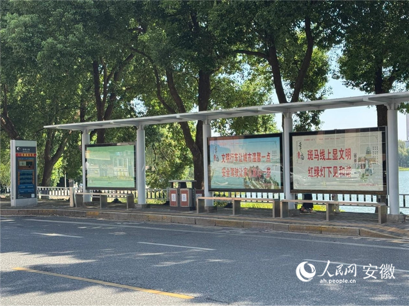 位于池州市百荷公园旁的普法公交站台。人民网记者 胡雨松摄