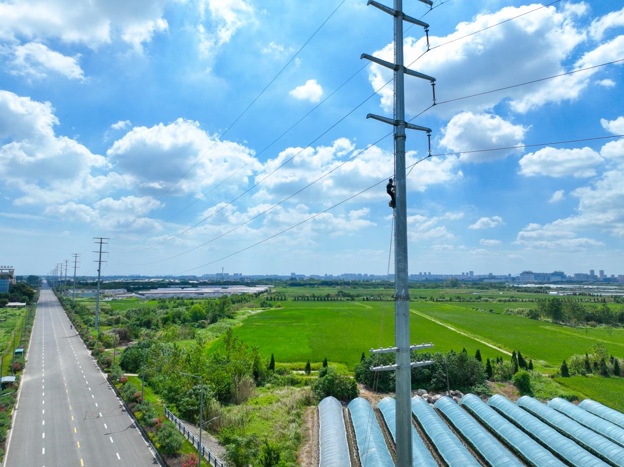作業人員攀登杆塔開展導線修復作業，線路周邊農田與蔬菜大棚連片分布。
