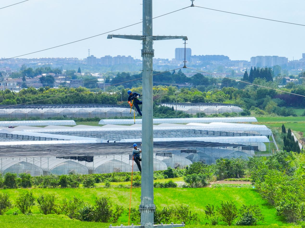 電力作業人員登杆就位，有序開展高空檢修作業。