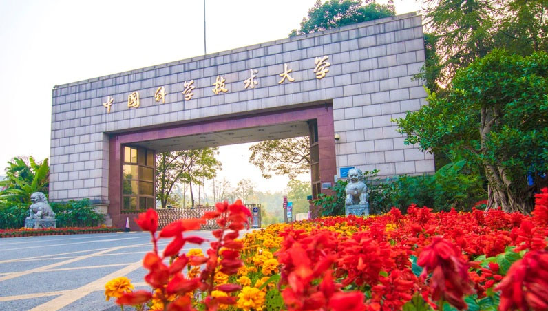 青春华章丨创新火种何以燎原