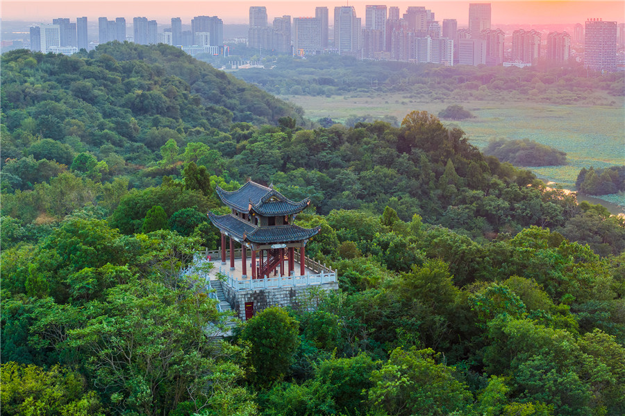 齐山-陈移风摄影-7