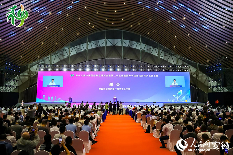 活动现场。 人民网记者 吕欢欢摄