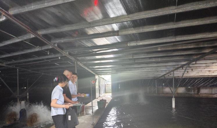 農行安慶岳西縣支行客戶經理走訪岳西縣綠品水產養殖公司。