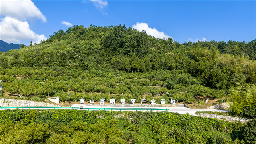 綠水青山、棗香四溢