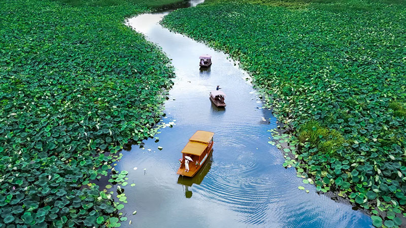 濕地公園。