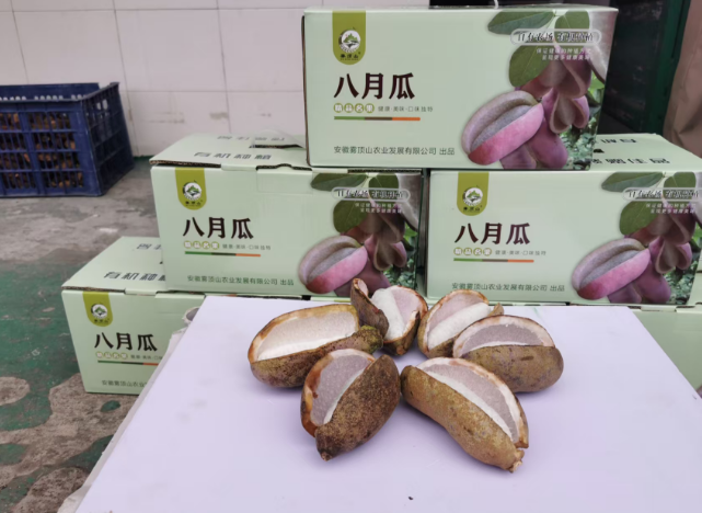 八月瓜装进礼品盒