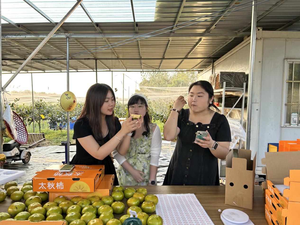 “三十岗—岗岗好”和美乡村直播间太秋甜柿助农专场。